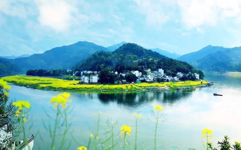 节能绿色绿色
